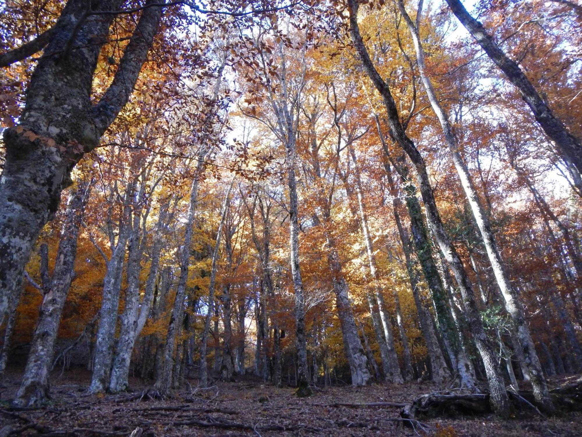 Alojamiento Rural Fuente Del Arca Прадена-дель-Ринкон Экстерьер фото
